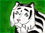 Desen 47836 continuat:...acelasi tigru
