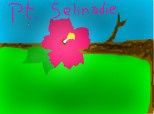Selinadie
