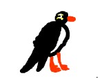 un pinguin