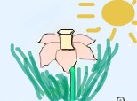 o  floare