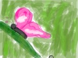 pink_blossom