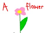 a flower