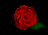 rr(red rose)
