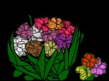 flori de toamna