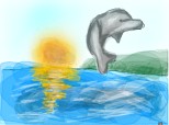 A delfin in a sunny morning....