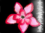 floare roz