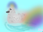 The Rainbow Swan