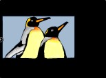 2 pinguini