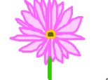 O floare
