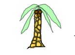 un palmier