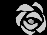 trandafirul intunericului
