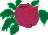 trandafir crina