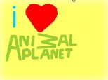 I love Animal Planet!!!