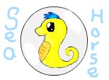 sea horse:D