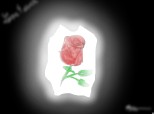 pt love4ever cea mai buna si draguta desenatoare de trandafiri multicolori sau albastri,rosii...