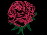 trandafirul rozelio