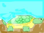 the tortoise