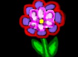 a  flower in dark