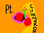pt cimmaron