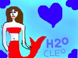 CLEO H20