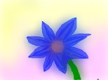 floarea albastra
