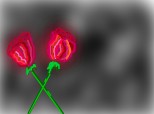 trandafirii definesc iubirea