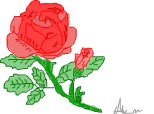trandafir=>pasiune,iubire,tristete,cucerire,tristete...etc