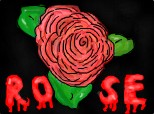 Rose-Trandafie