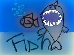 Shark eat fish