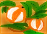 portocale  coapte