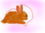 A little bunny!!:*
