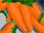 morcovi