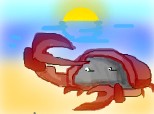 Crabul de nisip