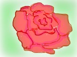 trandafir2