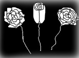 3 trandafiri
