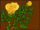 Desen 49973 continuat:trandafir
