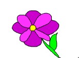 o floarer