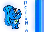 petunia