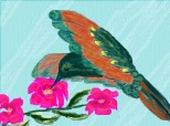 Desen 33908 modificat:colibri