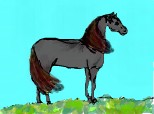 Desen 70265 continuat:a nice horse