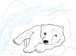 Un puiut de urs polar
