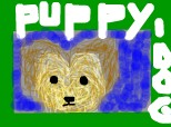 puppy-dog