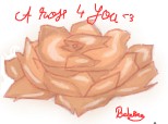 A rose for you ..<3