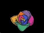 Trandafir multicolor