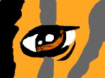 Ochi de tigru maias