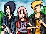 team 7......pt toti fanii Naruto :D