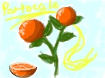 portocale .. :D (Diana)