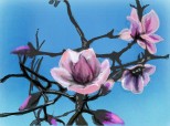 flori de magnolie...:D