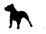 pitbull  silhouette
