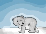 un urs polar